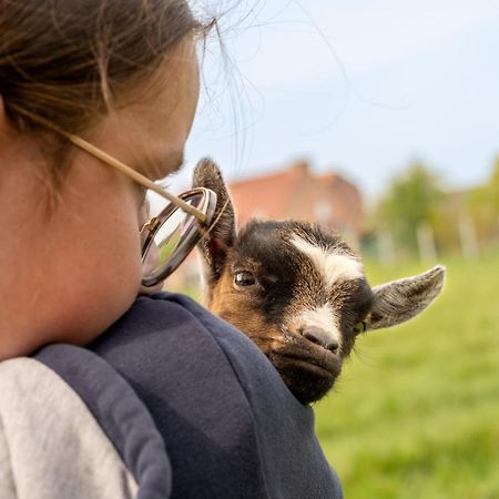 Logements Insolites A La Ferme - Yourte, Kota Ou Pod Farbus 外观 照片