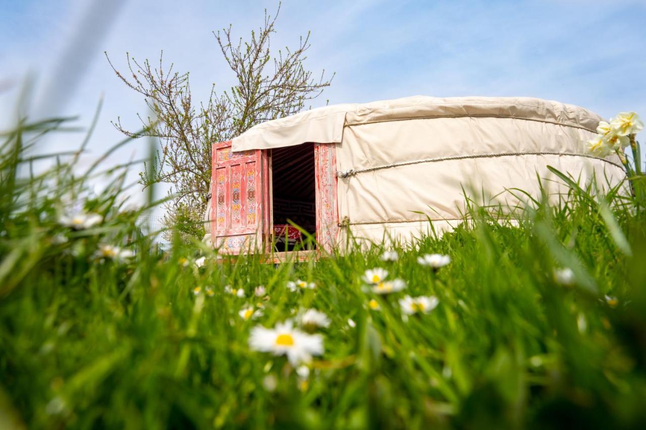 Logements Insolites A La Ferme - Yourte, Kota Ou Pod Farbus 外观 照片